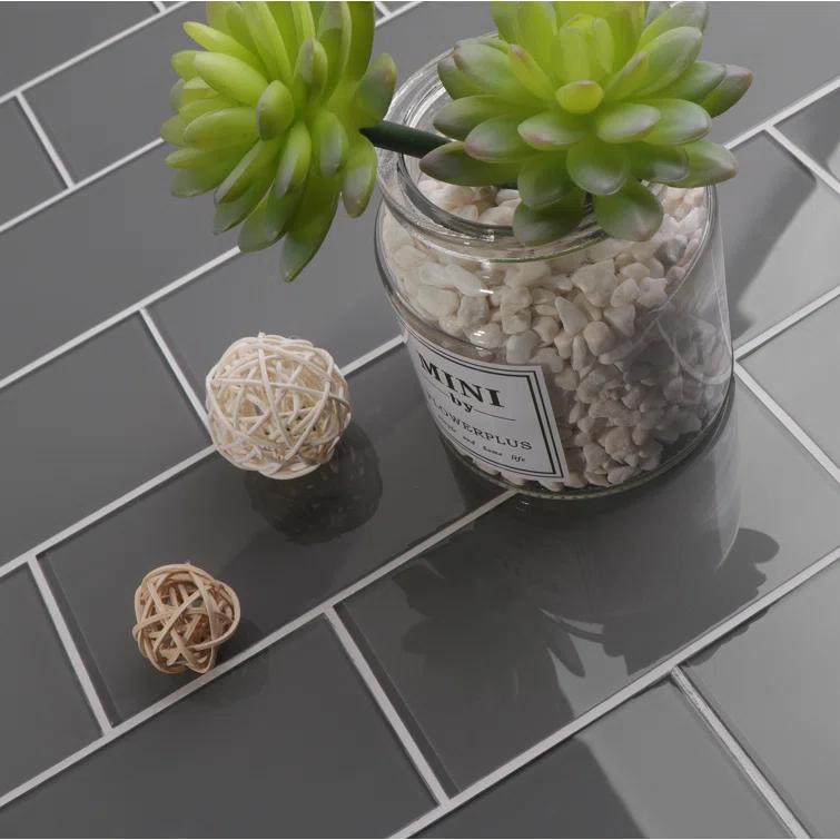 3'' W x 6'' L Glass Peel and Stick Subway Tile