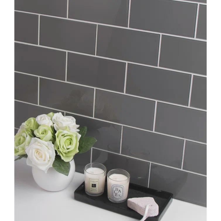 3'' W x 6'' L Glass Peel and Stick Subway Tile