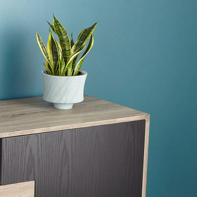 Cyan lighting - Planter - selena slab - small Planter - 7.5 Inches Wide by 6