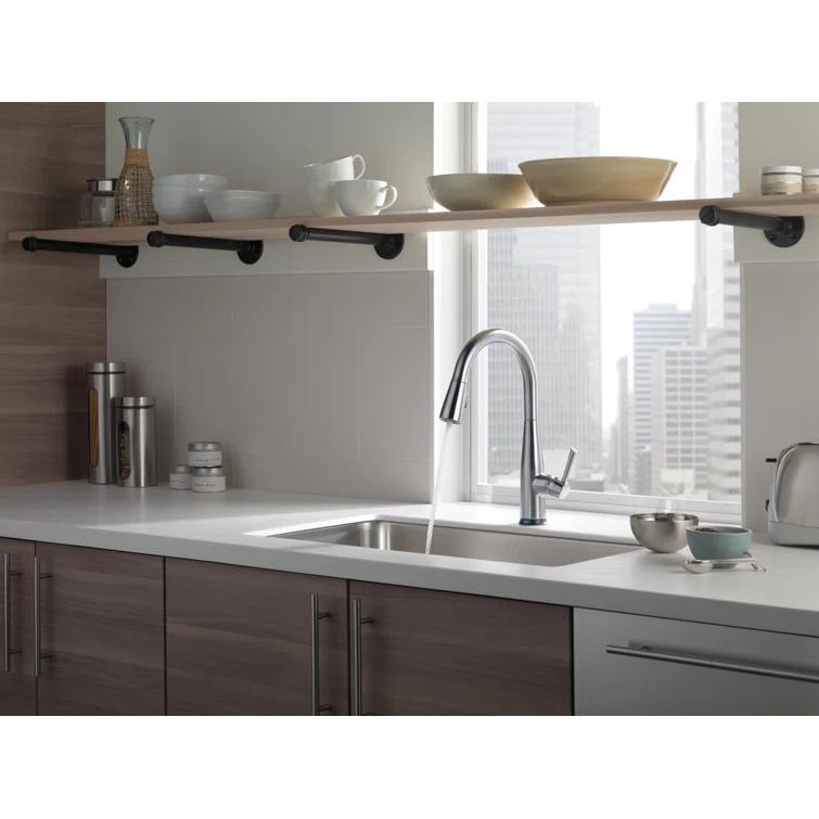 Essa Pull Down Single Handle Kitchen Faucet with MagnaTite Docking and Touch2O Technology