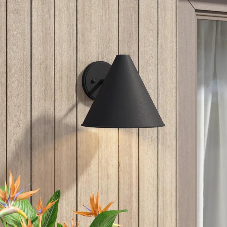 Dedmon Wall Light