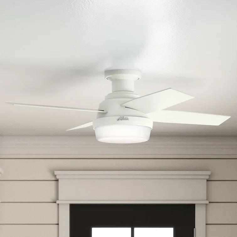 Dempsey Low Profile 44" 4 - Blade Indoor Flush Mount Small Room Ceiling Fan with Lights and Remote