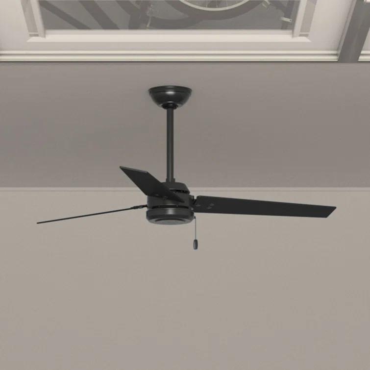 52" Cassius 3 - Blade Outdoor Standard Ceiling Fan with Pull Chain
