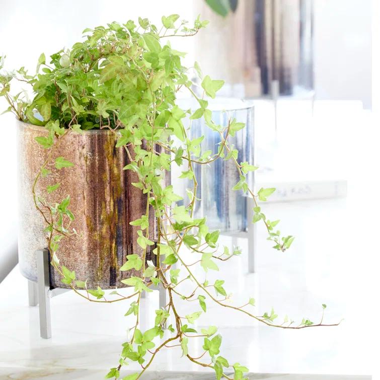 Cyan Design Basil Tabletop Votive Holder