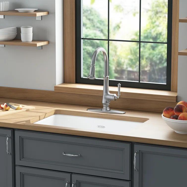 Delancey 30'' L Undermount Single Bowl Cast Iron Kitchen Sink
