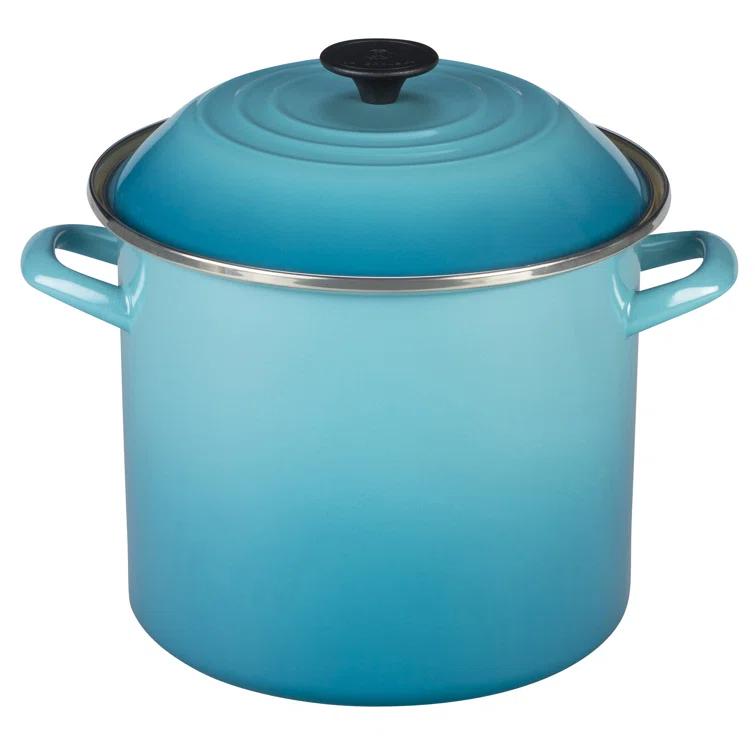 Le Creuset Enamel on Steel Stockpot with Lid