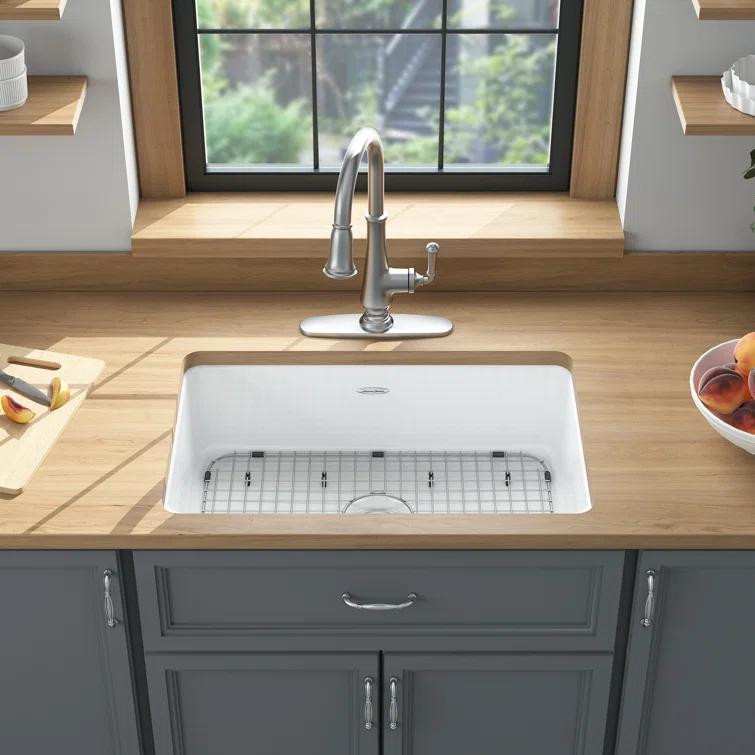 Delancey 30'' L Undermount Single Bowl Cast Iron Kitchen Sink