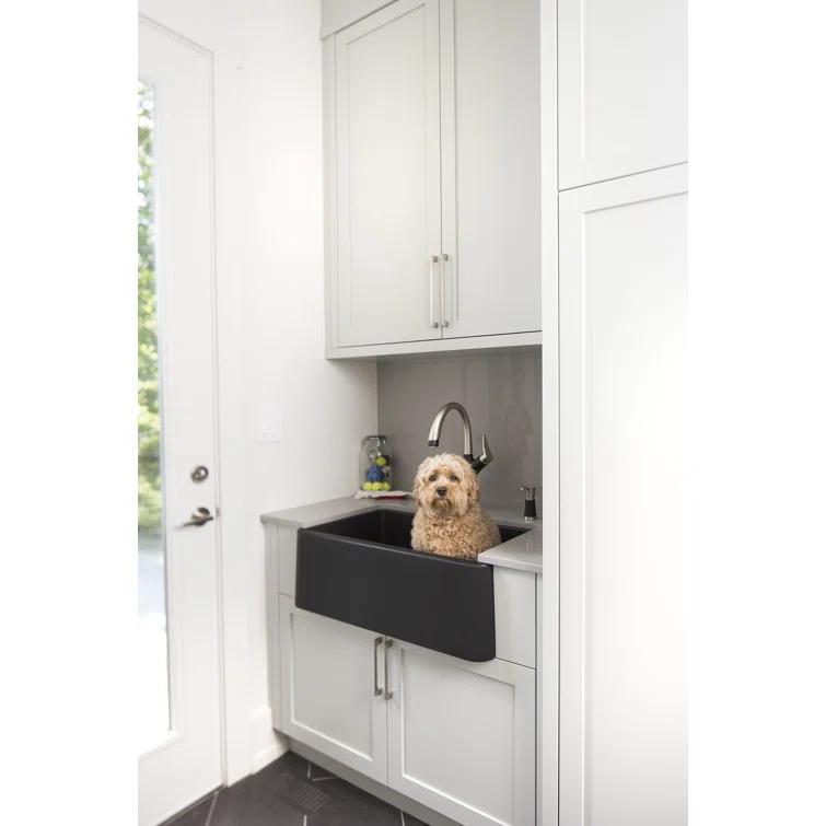 Artona Pull Down Dual Spray Kitchen Faucet