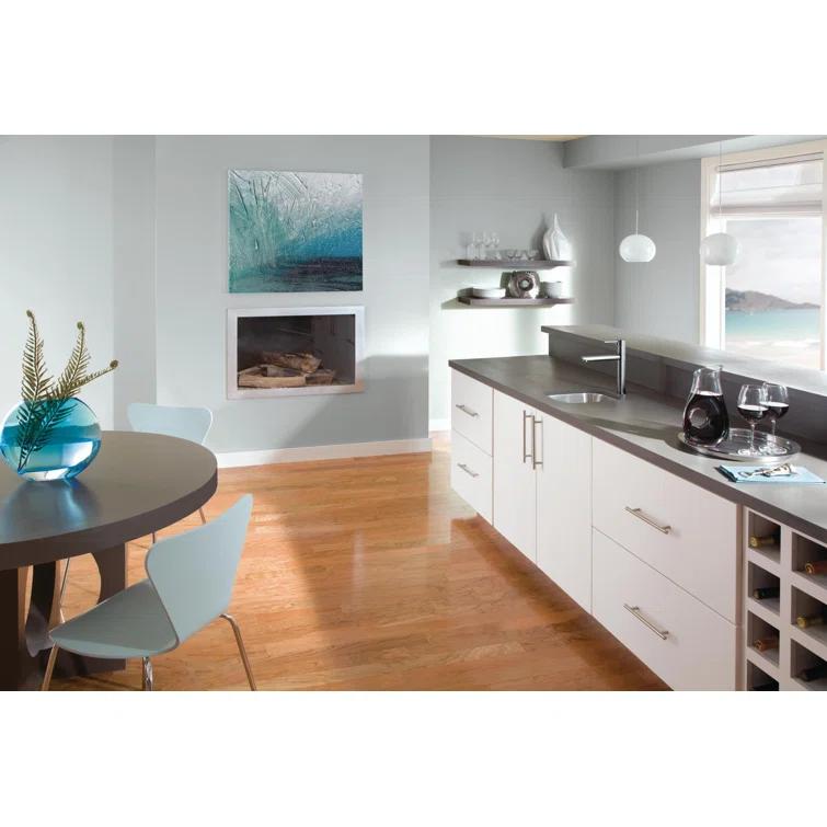 Trinsic Single Handle Kitchen Faucet