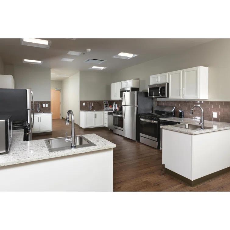 Essa Pull Down Single Handle Kitchen Faucet with MagnaTite Docking and Touch2O Technology