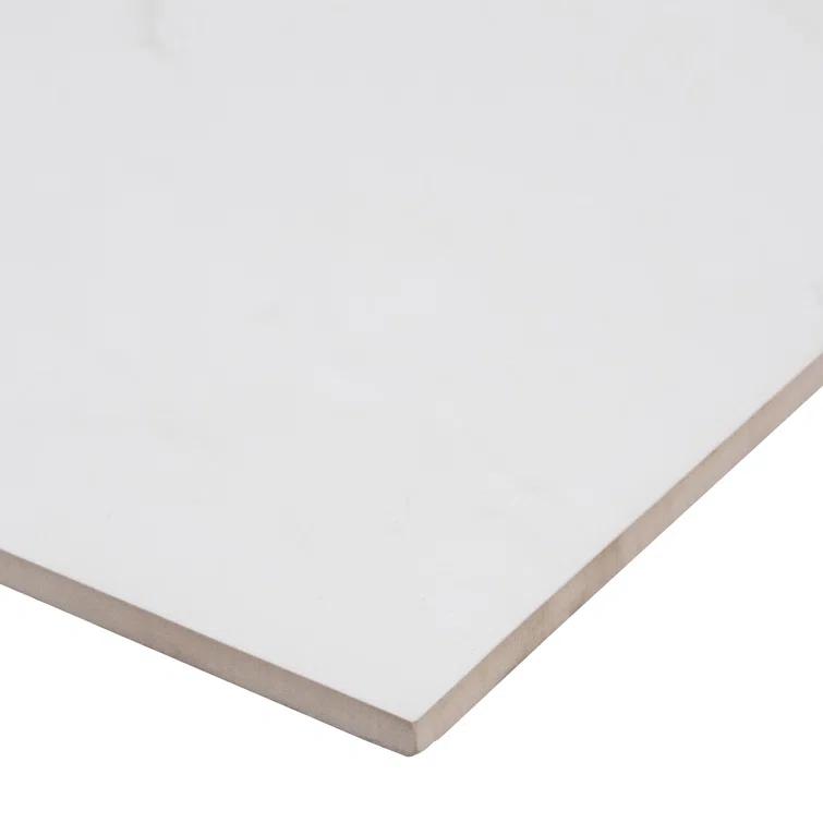 Aria 24" x 24" Stone Look Polished Porcelain Wall & Floor Tile