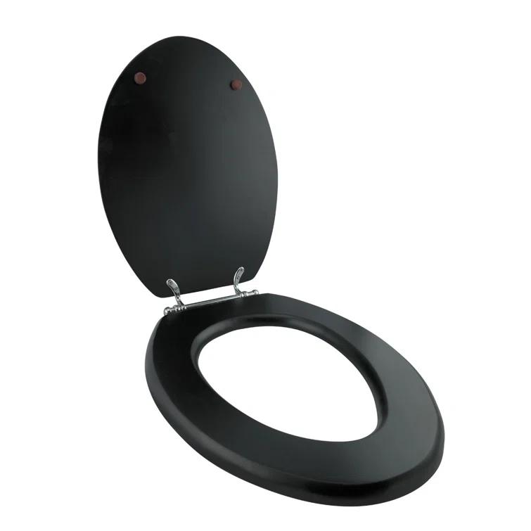 Elongated Toilet Seat and Lid