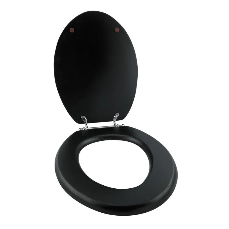 Elongated Toilet Seat and Lid