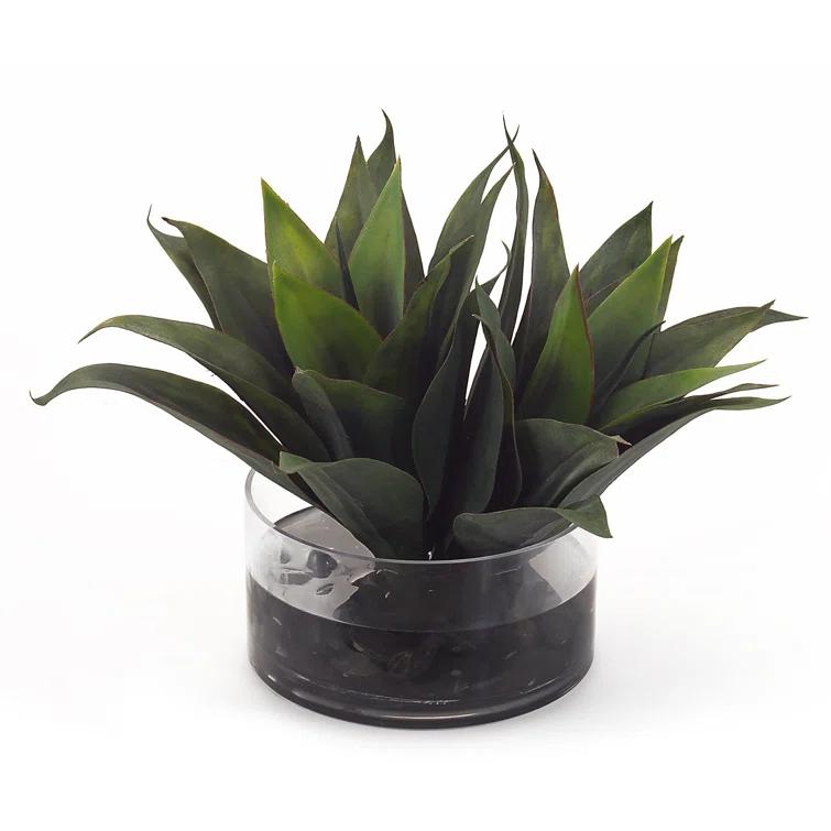 John-Richard 12'' Faux Agave Plant in Glass Jar