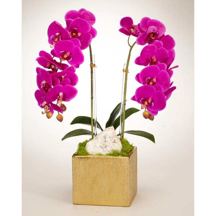 T&C Floral Company Orchid Arrangement in Planter