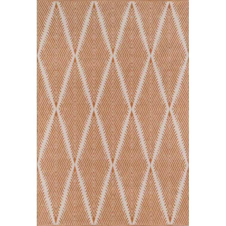 River Geometric Indoor / Outdoor Rug
