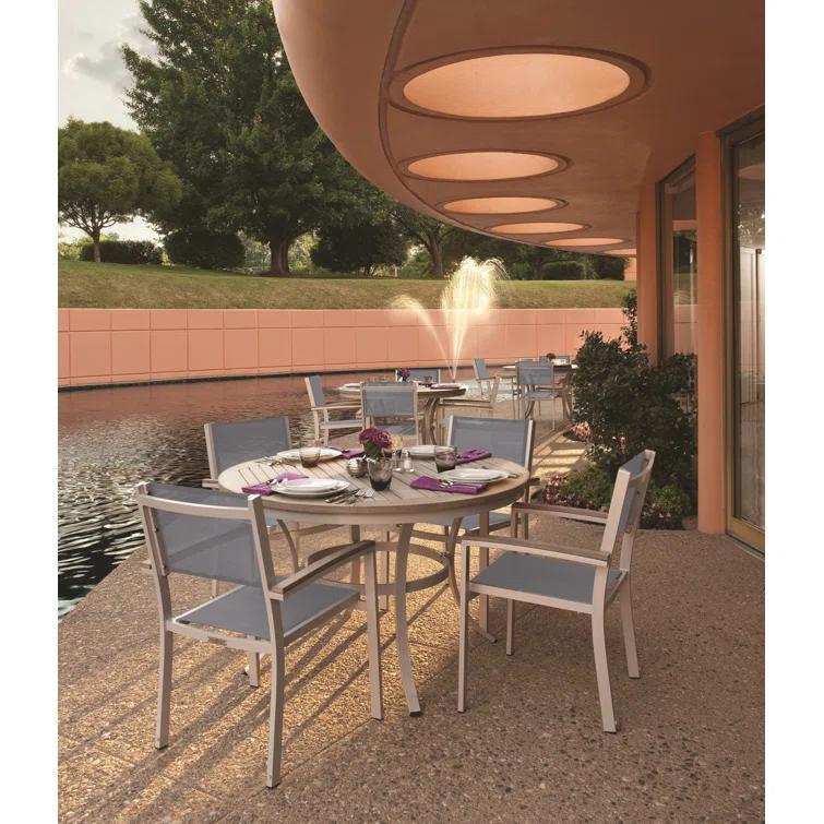 Hermes Indoor / Outdoor Dining Chair (Set of 2) - Gray and Carbon