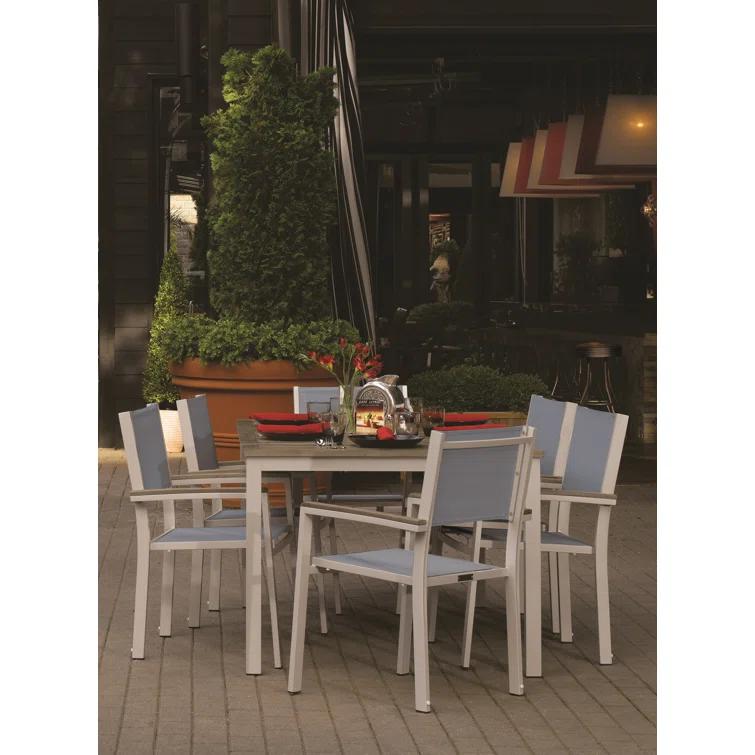 Hermes Indoor / Outdoor Dining Chair (Set of 2) - Gray and Carbon