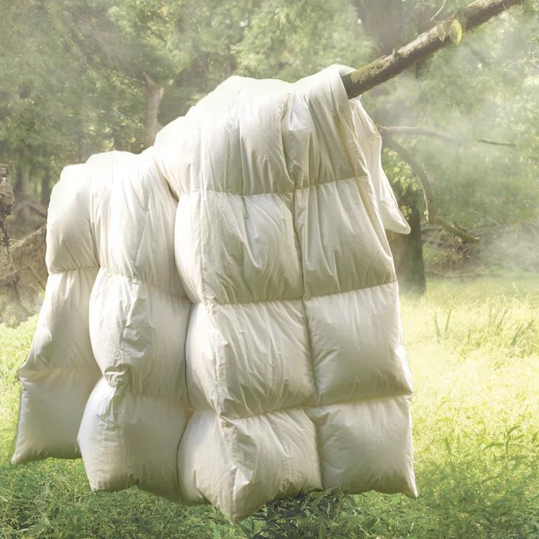 Concerto Premier 720 Summer Down Comforter