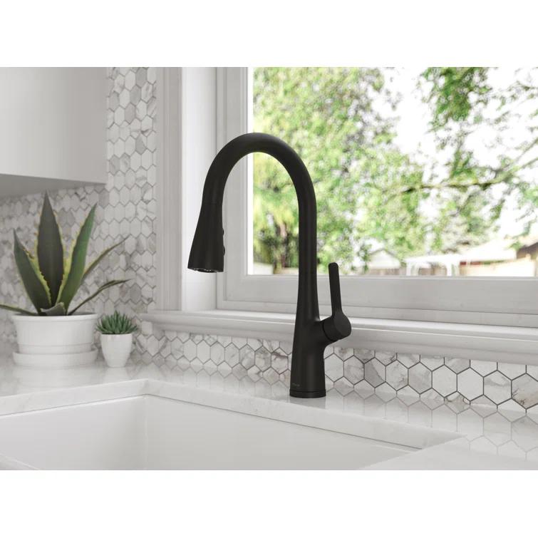 Neera Pull Down Single Handle Kitchen Faucet