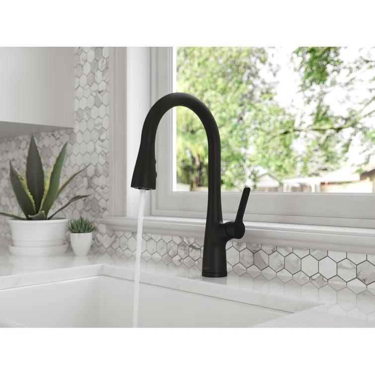 Neera Pull Down Single Handle Kitchen Faucet