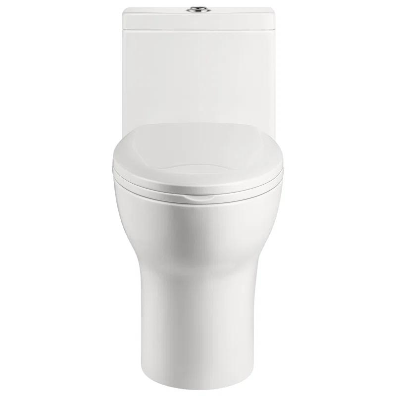 Ally Standard Bathroom Toielt, Modern Toilet with Comfort Chair Height Floor Mounted(Seat Included)