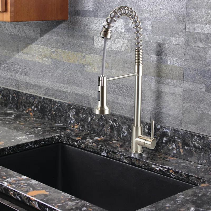 Transolid Cuisine Pro Pull Down Kitchen Faucet
