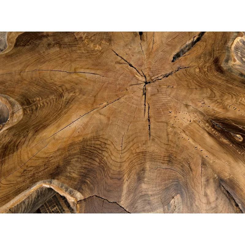 Noir Elegance 50" Teak Root Wood Coffee Table