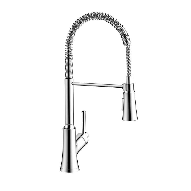 Joleena Semi-Pro 19.38" High Chrome Kitchen Faucet with Aerated Spray