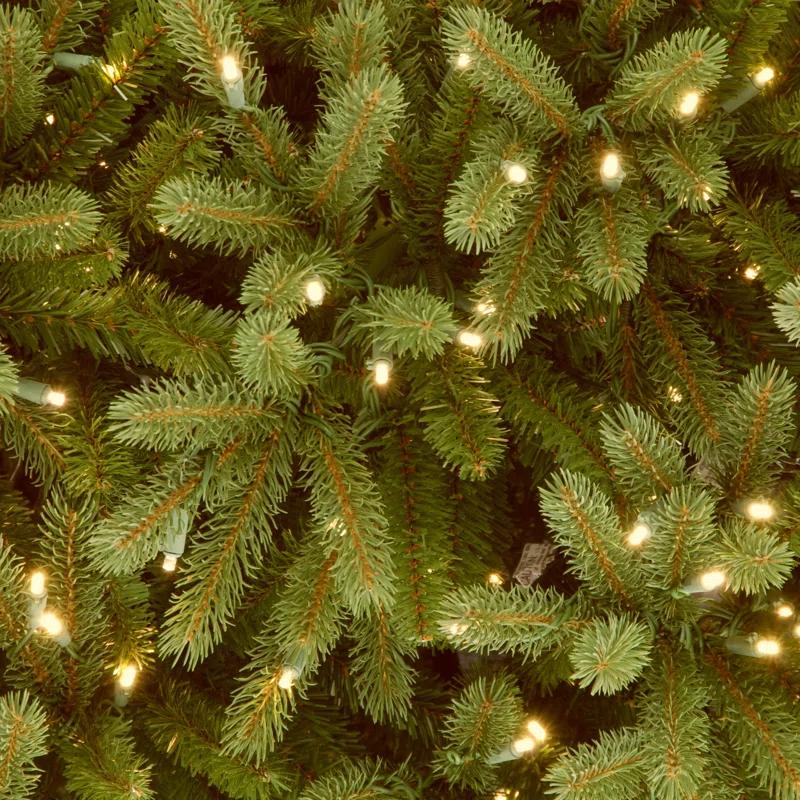6.5' Prelit LED Medium Jersey Fraser Fir Artificial Christmas Tree Dual Color Lights - National Tree Company