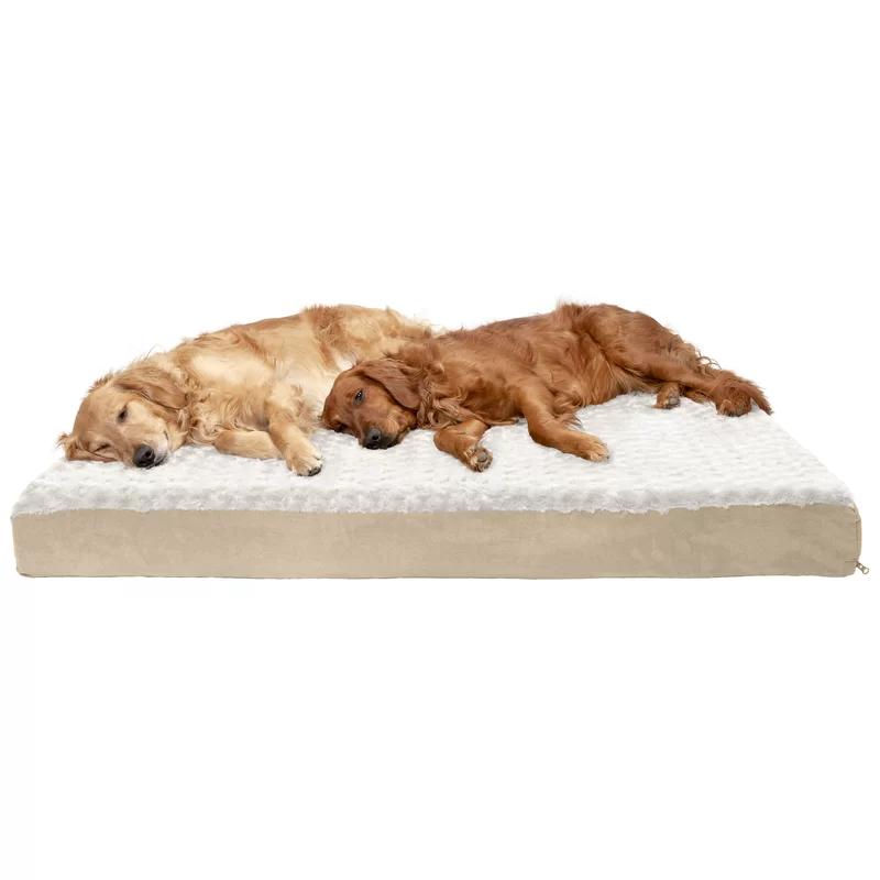 Deluxe Orthopedic Outdoor Memory Foam Pet Bed in Cream, 25"x16"