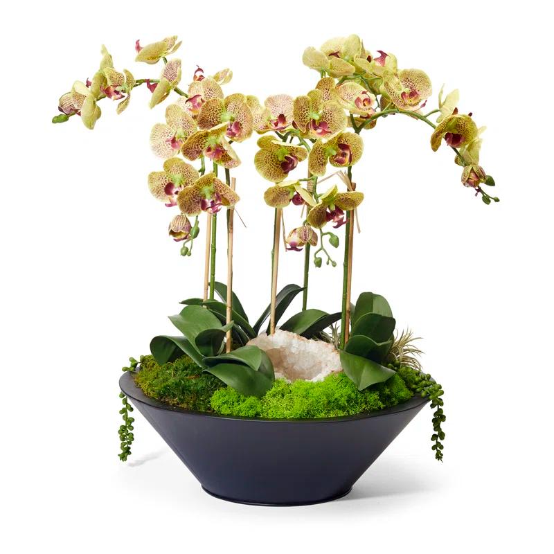 Faux Silk Orchid Arrangement in Planter