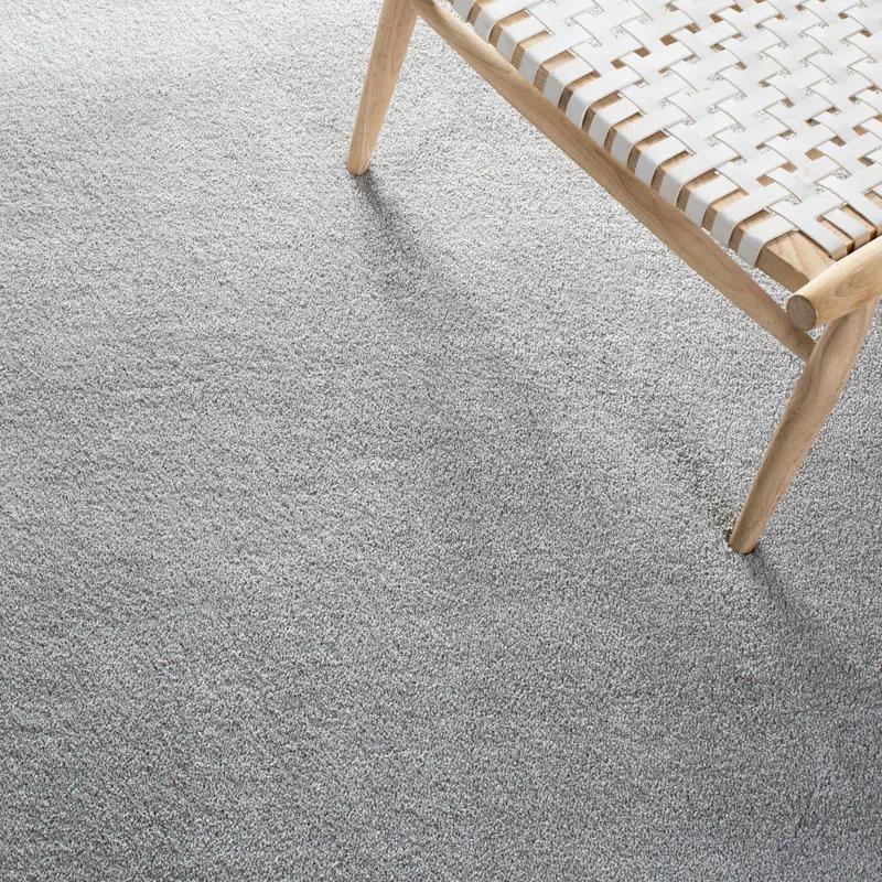 Aeneas Gray Area Rug