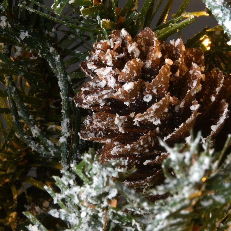 The Holiday Aisle® 24" Snowy Morgan Spruce Wreath with Dual Color LED Cosmic Lights