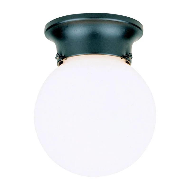 Sleek Black Gloss Globe Indoor/Outdoor Incandescent Light Fixture