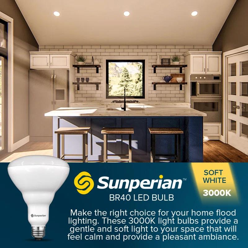 85 Watt Equivalent BR40 E26/Medium (Standard) Dimmable LED Bulb