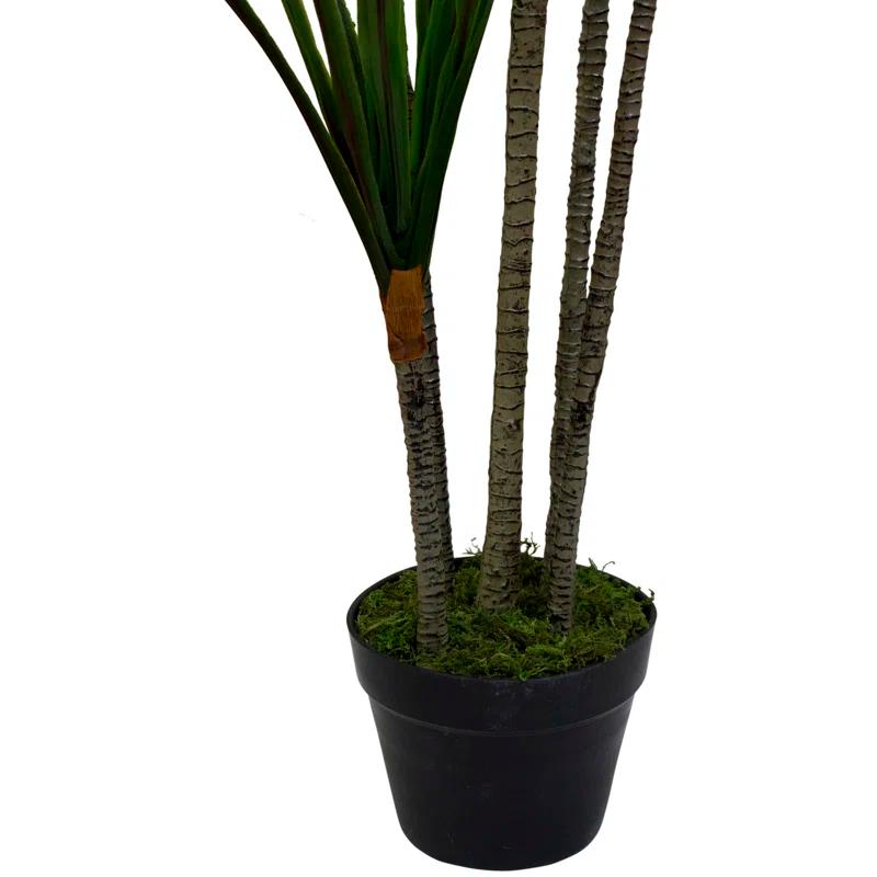 Northlight Seasonal 5.5' Green Artificial Potted Dracaena Marginata Plant