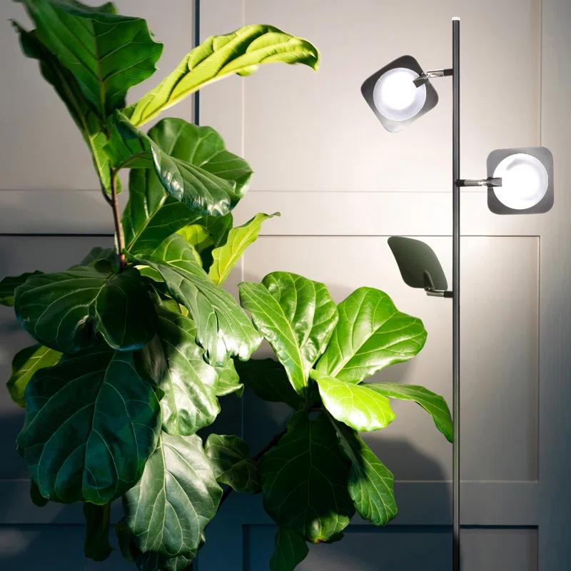 Brightech Tree Industrial LED 3-Way Dimming Floor Lamp with 3 Adjustable Spot Lights
