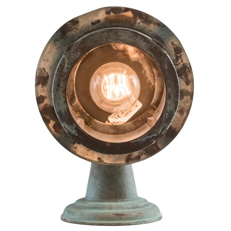 Verdigris Brass Songbird 1-Light Wall Sconce with Clear Seedy Glass