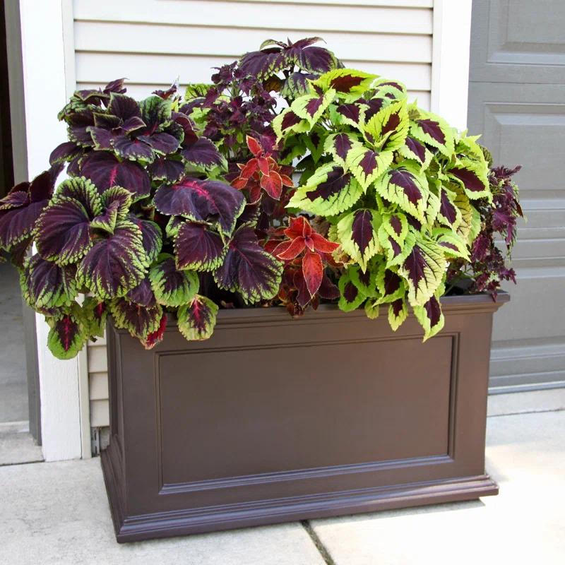 Winston Porter Anastasiya 20"x36" Resin Planter with Water Reservoir