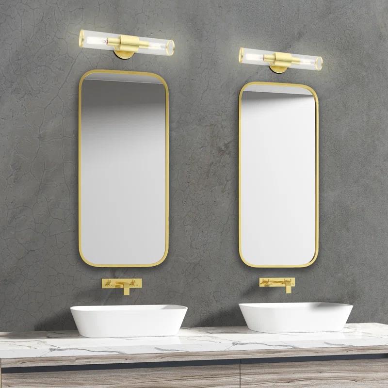 Wade Logan® Birchfield Dimmable Vanity Light