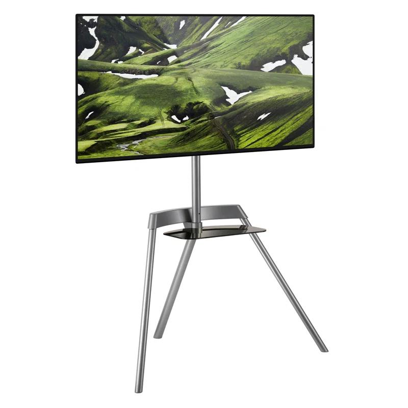 Mount-It Easel TV Stand & Portable TV Tripod Holds up to 88 Pounds and Fits 43 - 65 Inch Screens