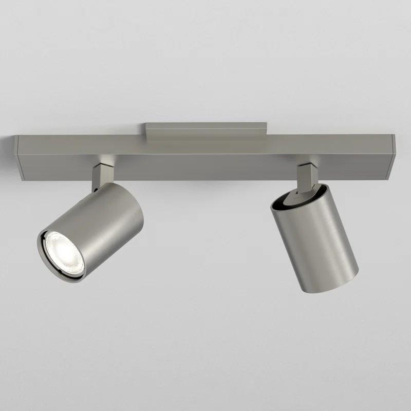 Contemporary Matt Nickel 2-Light Spotlight Ceiling Fixture