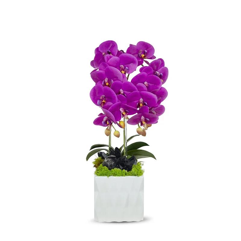 Elegant Fuschia & White Orchid Arrangement with Geometric Vase