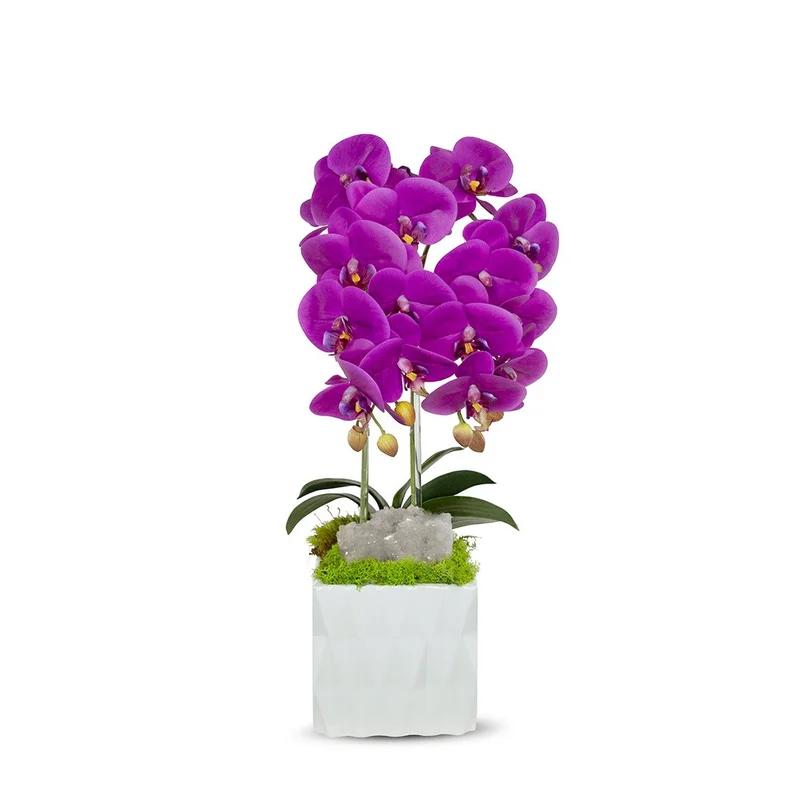 Elegant Fuschia & White Orchid Arrangement with Geometric Vase