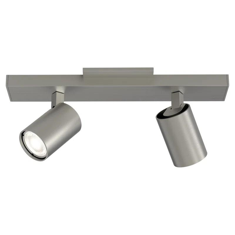Contemporary Matt Nickel 2-Light Spotlight Ceiling Fixture
