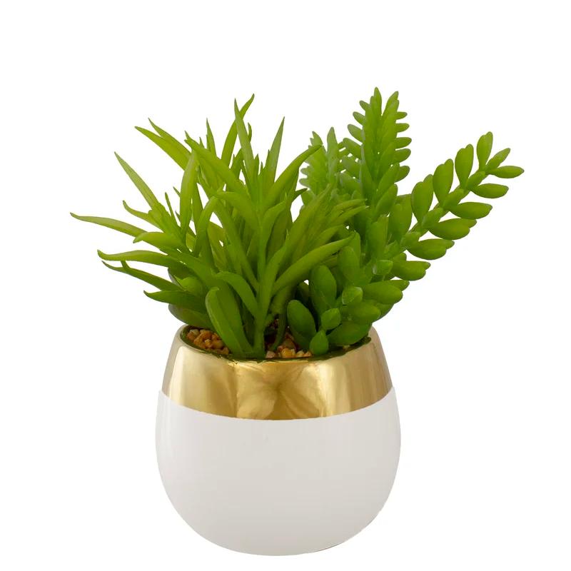 Chic 6.5" White and Gold Ceramic Potted Artificial Succulent