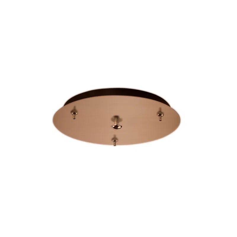 Sleek Black Brushed Nickel Multi-Port Canopy Light Fixture