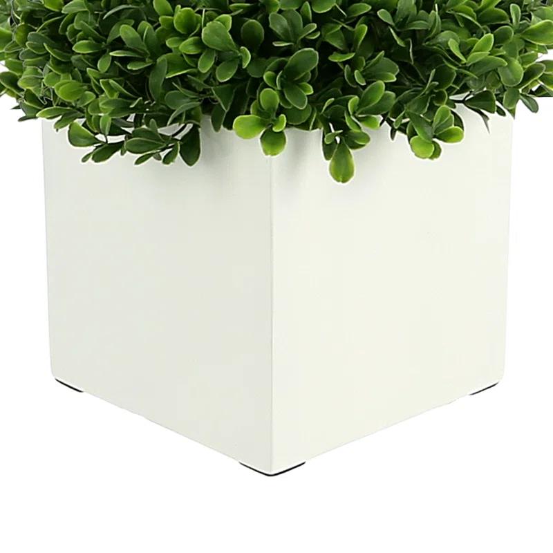 9" Green Boxwood Topiary in White Square Pot