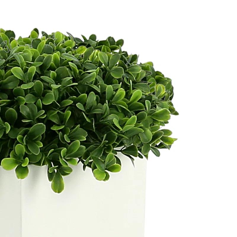 9" Green Boxwood Topiary in White Square Pot